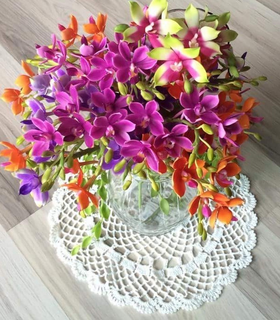 Phaleanopsis